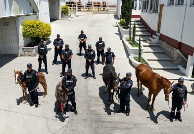 Recuperan equinos que sufrían maltrato; fueron rescatados por la Policía Montada de Ecatepec / @Ecatepec >>>