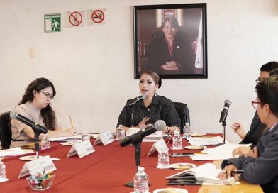 Edomex refuerza su coordinación sanitaria rumbo al Mundial para garantizar atención médica de excelencia/ @delfinagomeza @Edomex