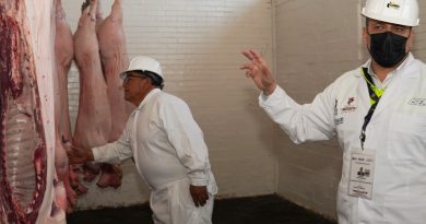 El Gobierno del Estado de México fortalece la vigilancia sanitaria en rastros para garantizar la inocuidad alimentaria  / @delfinagomeza @Edomex