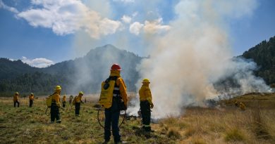 ¿Quieres ser voluntario para combatir el fuego de manera segura? El Edomex consolida la red de brigadistas más capacitada para el resguardo forestal / @delfinagomeza @Edomex