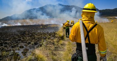 ¡Evita incendios forestales! En el Edomex activan plan de vigilancia en áreas naturales durante la Semana Santa 2026 / @delfinagomeza @Edomex