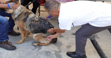 ¡Vacúnalos!: inicia la Semana Nacional contra la Rabia de perros y gatos 2026 en los 125 municipios del Estado de México / @delfinagomeza @Edomex