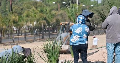 El Gobierno de Tecámac fortalece la biodiversidad y la infraestructura verde con el programa integral de rehabilitación urbana / @rosiwongromero