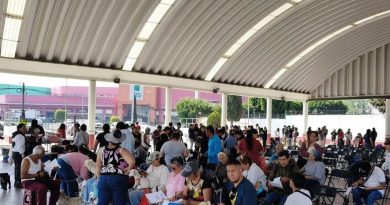 Tecámac consolida liderazgo en salud animal con unidades móviles y servicios gratuitos de esterilización / @rosiwongromero