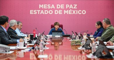 “La Mejor Jugada es Adoptar”: el modelo mexiquense de bienestar animal que busca proyectarse a nivel nacional / @delfinagomeza @Edomex