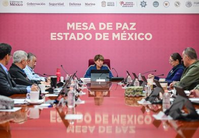 “La Mejor Jugada es Adoptar”: el modelo mexiquense de bienestar animal que busca proyectarse a nivel nacional / @delfinagomeza @Edomex