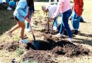 Universidad Mexiquense del Bicentenario impulsa jornada ambiental con 7 200 estudiantes y 509 árboles plantados / @delfinagomeza @Edomex
