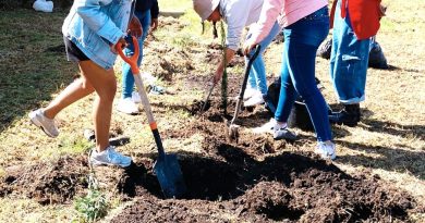 Universidad Mexiquense del Bicentenario impulsa jornada ambiental con 7 200 estudiantes y 509 árboles plantados / @delfinagomeza @Edomex