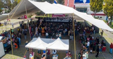 Invita Edomex a disfrutar la edición 30 de TransformARTE; habrá música en vivo, cine, danza, talleres y mucho más  / @delfinagomeza @Edomex