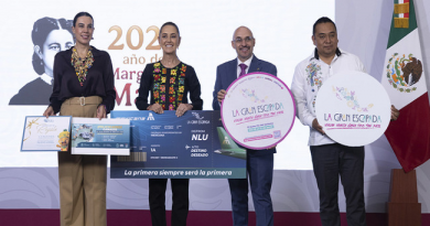 Claudia Sheinbaum Pardo anuncia seis viajes al sureste con vuelos de Mexicana de Aviación, recorridos en el Tren Maya y hospedaje en el Mundo Maya / @Claudiashein @GobiernoMX >>>