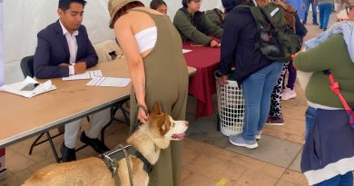 Esterilizaciones masivas y conciencia ciudadana: CERA transforma el cuidado de mascotas / @delfinagomeza @Edomex
