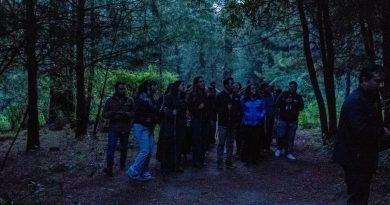Festival Internacional de las Luciérnagas 2026: la noche de luz que transformó Amecameca, Ecatzingo y Tlalmanalco / @delfinagomeza @Edomex