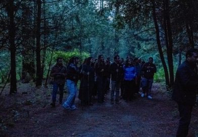 Festival Internacional de las Luciérnagas 2026: la noche de luz que transformó Amecameca, Ecatzingo y Tlalmanalco / @delfinagomeza @Edomex