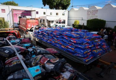 Naucalpan y Estado de México consolidan récord nacional de donación en Croquetmanía / @isaacsolar @GobNau >>>