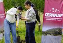 Invita la gobernadora Delfina Gómez Álvarez a la Mega Reforestación «48 años sembrando vida» / @delfinagomeza @Edomex