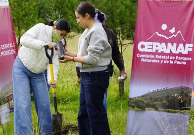 Invita la gobernadora Delfina Gómez Álvarez a la Mega Reforestación «48 años sembrando vida» / @delfinagomeza @Edomex