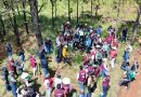 ¡Participa! Gobierno del Estado de México invita a la jornada nacional de reforestación para restaurar ecosistemas  / @delfinagomeza @Edomex