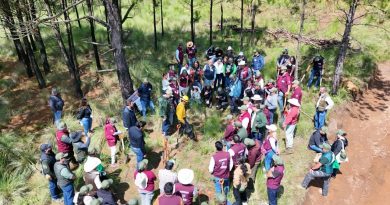 ¡Participa! Gobierno del Estado de México invita a la jornada nacional de reforestación para restaurar ecosistemas  / @delfinagomeza @Edomex
