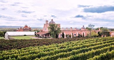 Mauricio Trejo apuesta por posicionar a San Miguel de Allende en el escaparate mundial del vino con la llegada de la CMB Gala Internacional 2026 / @MauricioTrejoP @GobMunicipalSMA