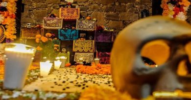 El Sendero de las Almas en Cuautitlán Izcalli abre espacio a la creatividad con el Concurso de Ofrendas 2026 / @daniel_ser @GobIzcalli >>>