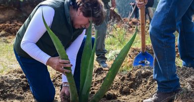 Delfina Gómez Álvarez actualiza el rumbo del Estado de México con una nueva visión de desarrollo / @delfinagomeza @Edomex
