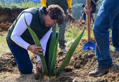 Delfina Gómez Álvarez actualiza el rumbo del Estado de México con una nueva visión de desarrollo / @delfinagomeza @Edomex