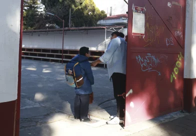 ¿Quieres abrir las puertas de tu hogar? Estos son los requisitos para ser familia de acogida en Edomex / @delfinagomeza @Edomex