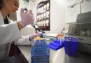 Leucemia infantil: un laboratorio en Toluca obtiene resultados diagnósticos en menos de 24 horas / @delfinagomeza @Edomex